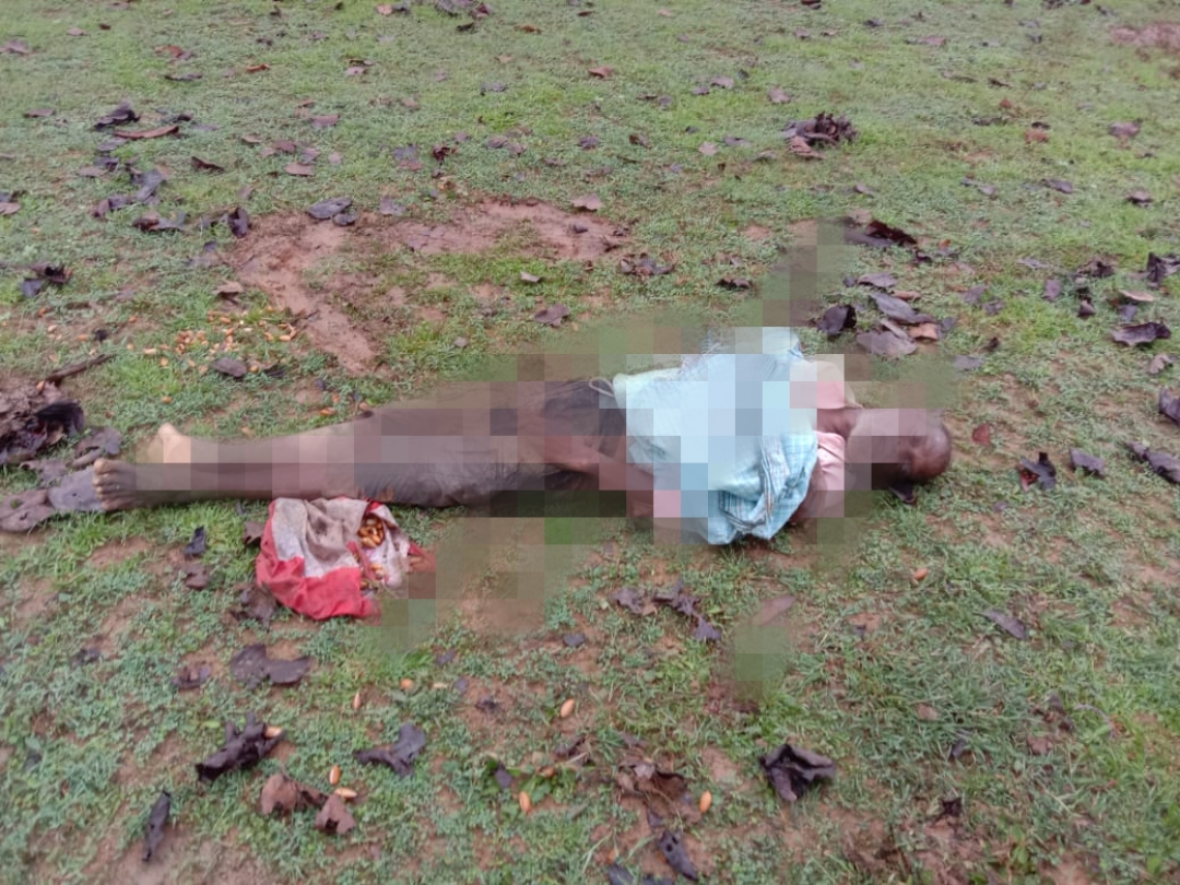  एक दंतैल हाथी ने दो लोगो के उपर दर्दनाक हमला कर उन्हें मौत के घाट उतार दिया गया।जबकि उनके साथ जंगल गई मासूम बालिका को अपनी सूंड से घायल कर दिया।