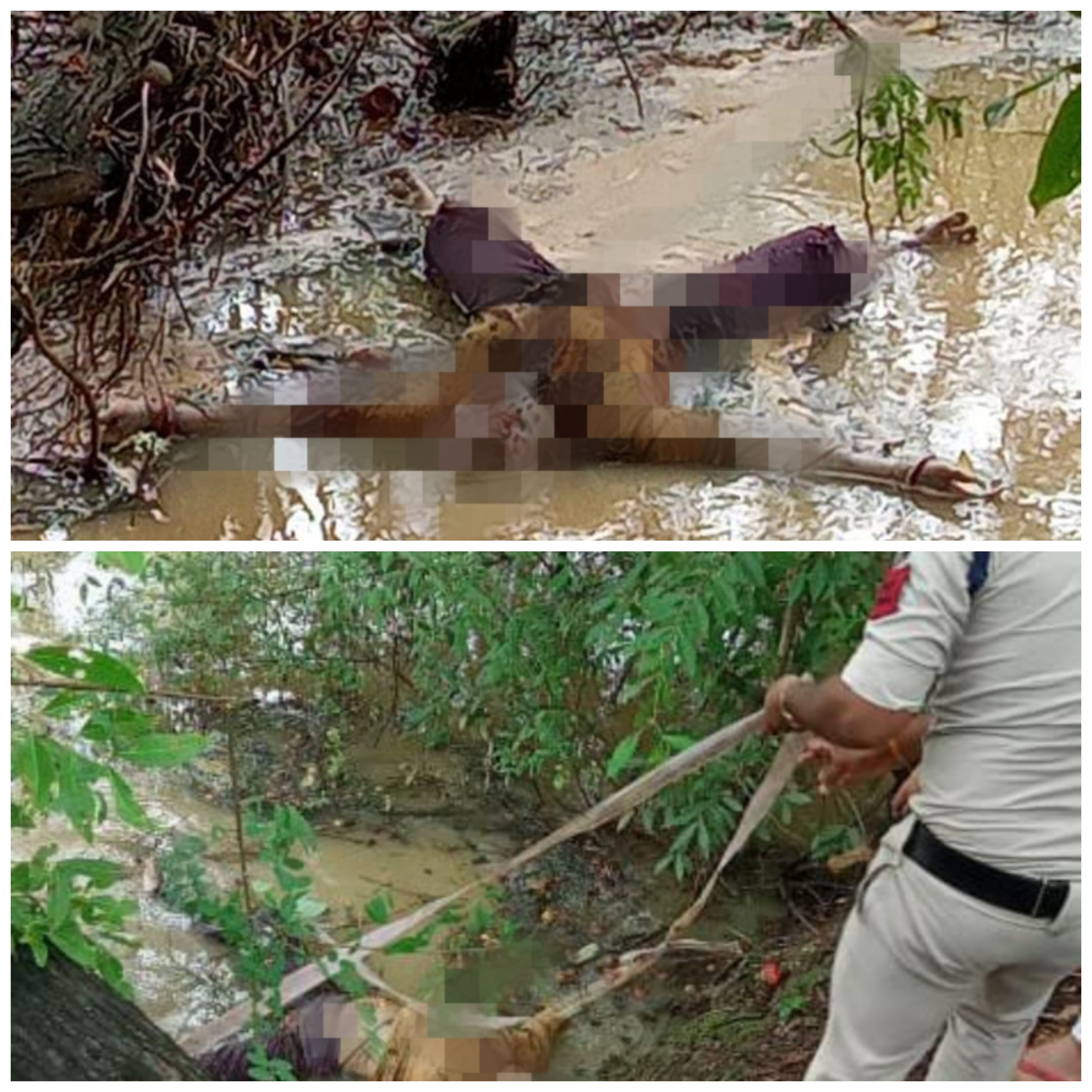 ब्रेकिंग   नाले में मिली युवक की लाश ...