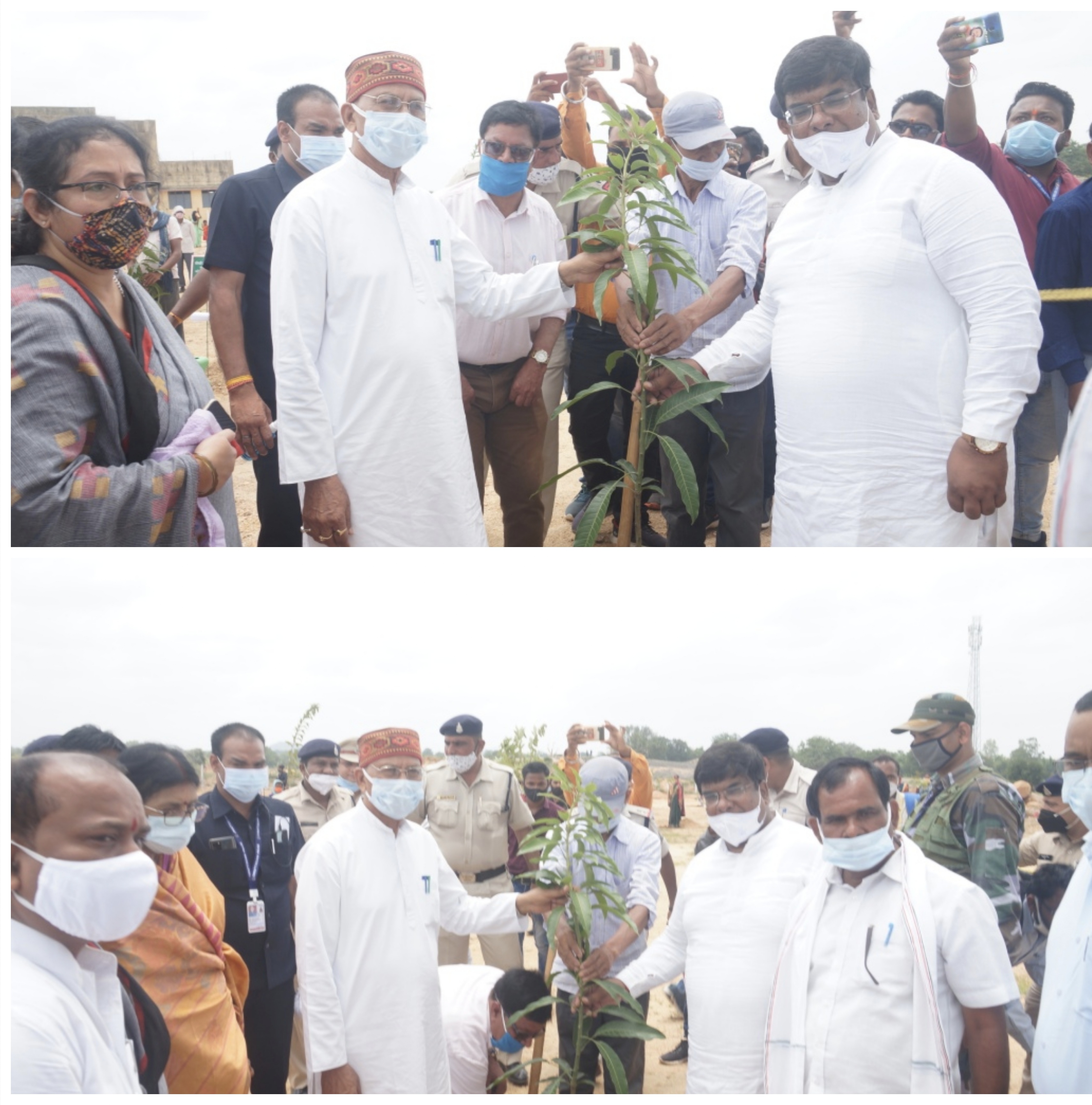 पूरे प्रदेश में मानक के रूप में स्थापित होगा आनी का वन प्रदर्शन प्रक्षेत्र-श्री ताम्रध्वज