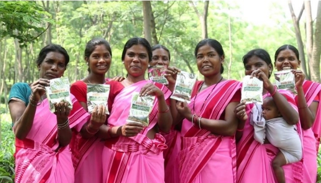 छत्तीसगढ़: चाय-काफी की खेती को बढ़ावा... कृषि मंत्री की अध्यक्षता में गठित होगा टी-काफी बोर्ड&hellip;