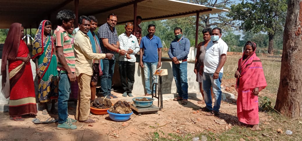 शासन की महत्वाकांक्षी गोधन न्याय योजना का जिले में हुआ विस्तार, 1 नवंबर से जिले में 193 नवीन गौठानों में गोबर खरीदी शुरू, अब कुल 329 गौठानों में गोबर खरीदी