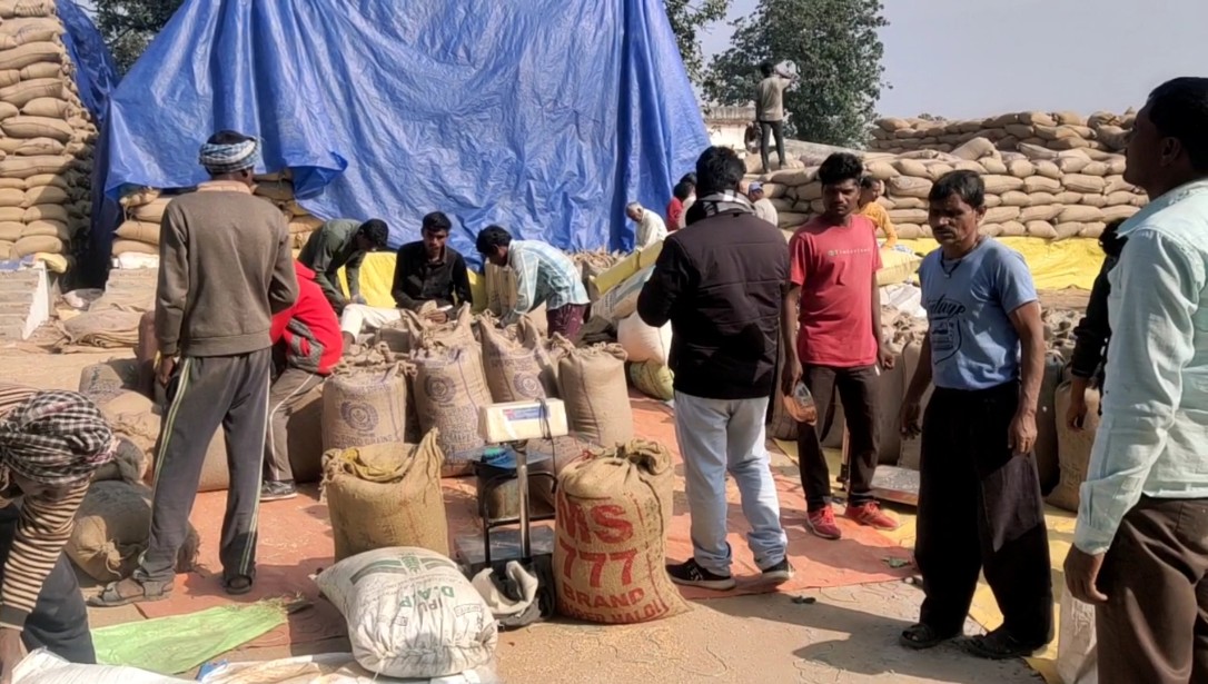 केन्द्रीय पूल में चावल जमा कराने में छत्तीसगढ़ की रिकार्ड उपलब्धि