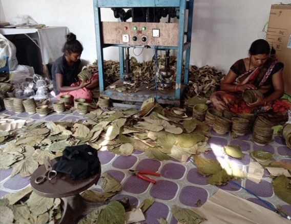 कोरिया : &rsquo;आर्थिक गतिविधियों के ज़रिए व्यावसायिकरण के क्षेत्र में निरंतर आगे बढ़ रही हैं स्वसहायता समूहों की महिलाएं&rsquo;