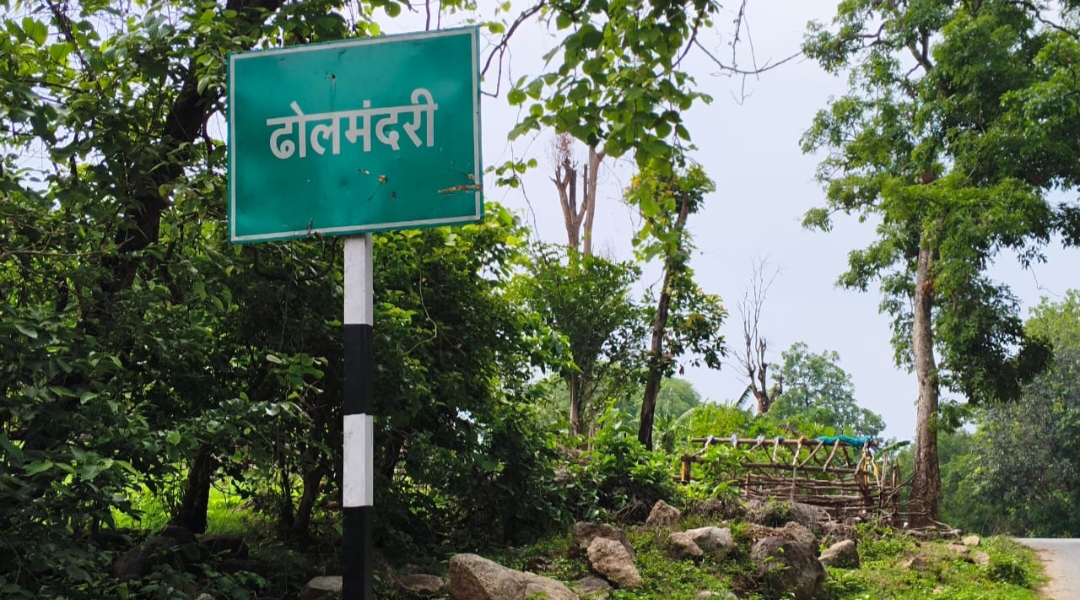 बेशकीमती लकड़ियां मौसम की मार से हो रहे हैं खराब शासन इस और कोई ध्यान नहीं दे रही है