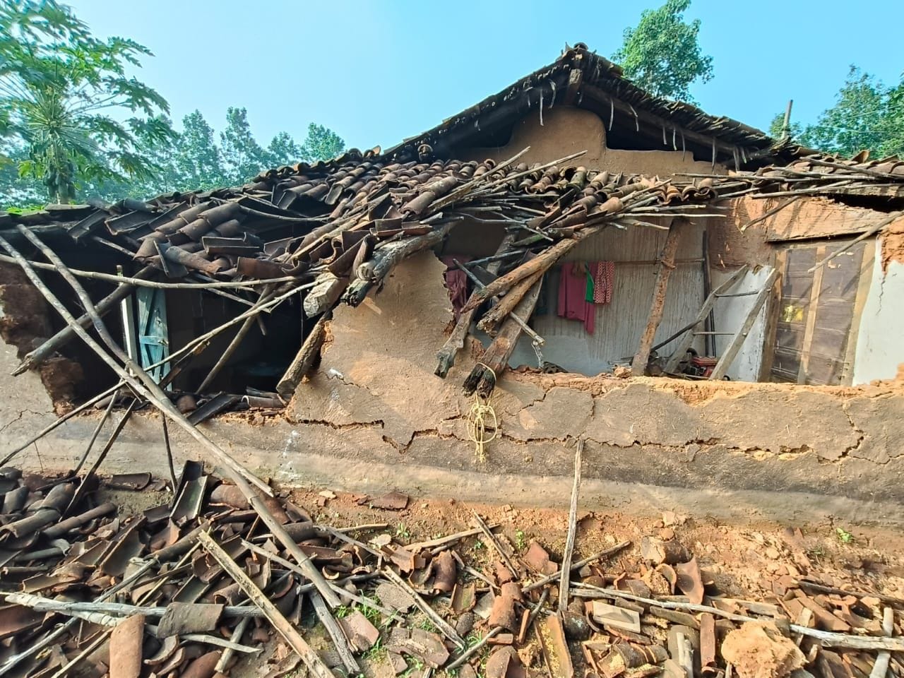 रायगढ़ में हाथियों का आतंक दहशत में लैलूंगा क्षेत्र एक ही रात में तीन ग्रामीणों की दर्दनाक मौत