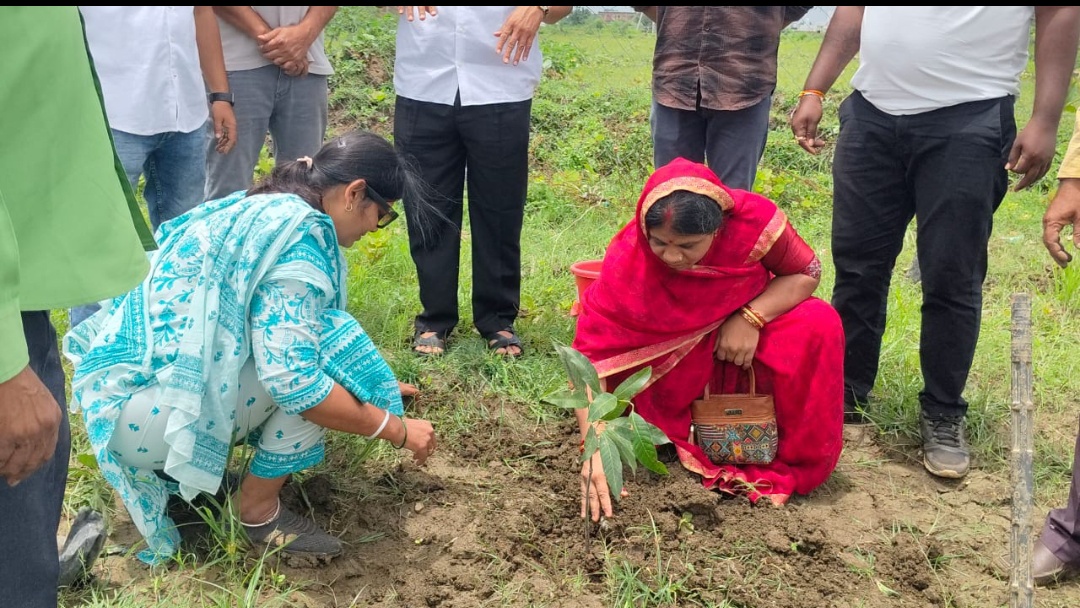 नगरपालिका अध्यक्ष अश्ववनी शर्मा के द्वारा गौधाम परिसर में पौधारोपण का कार्यक्रम किया गया 
