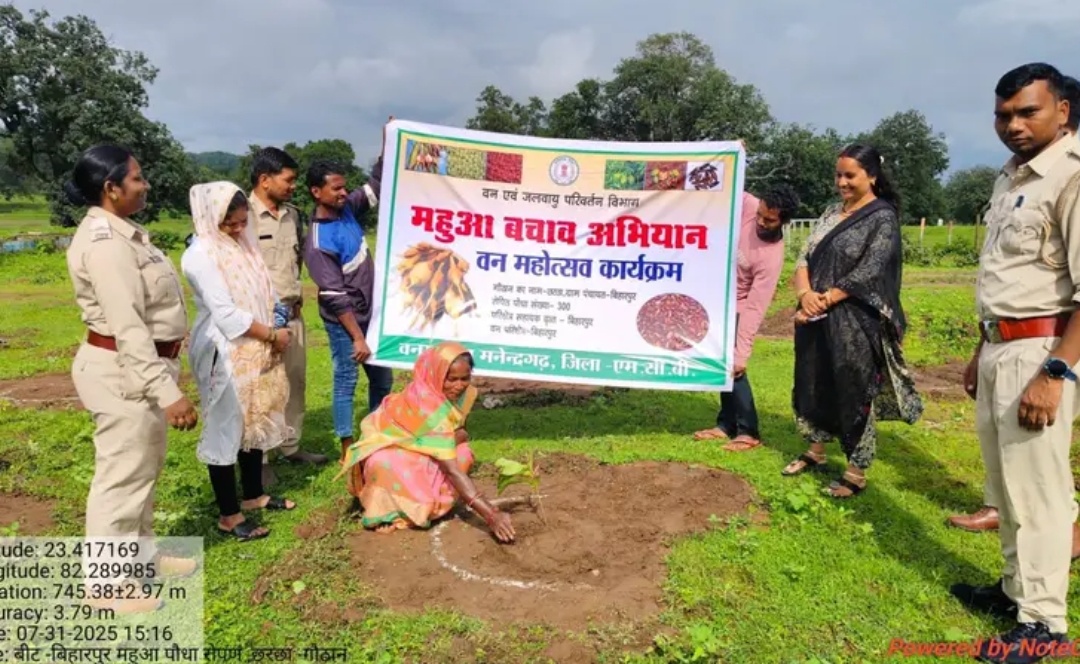 वनमंडल मनेंद्रगढ़ डीएफओ&nbsp;मनीष कश्यप की विशेष पहल बंजर गोठानों को हराभरा बनाने का काम हुआ शुरू अब तक मनेंद्रगढ़ वनमंडल के&nbsp;98 गोठानों में 60 हज़ार महुआ पौधे&nbsp;लगाए जा चुके