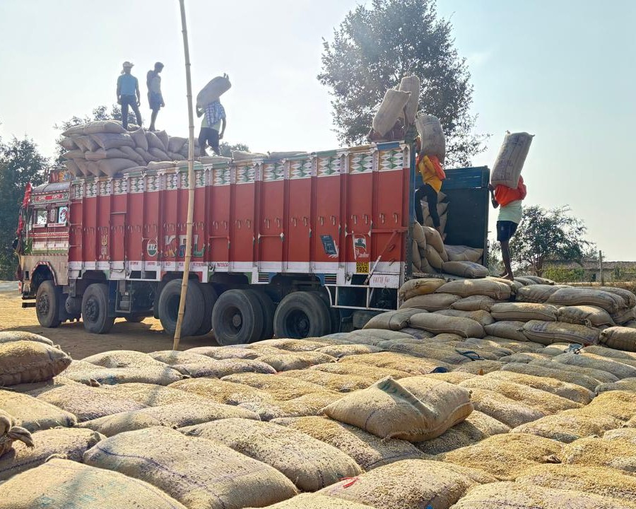 धान उठाव में जिला बना मिसाल: तेज परिवहन से किसानों को राहत, 4.27 लाख क्विंटल धान का सफल उठाव