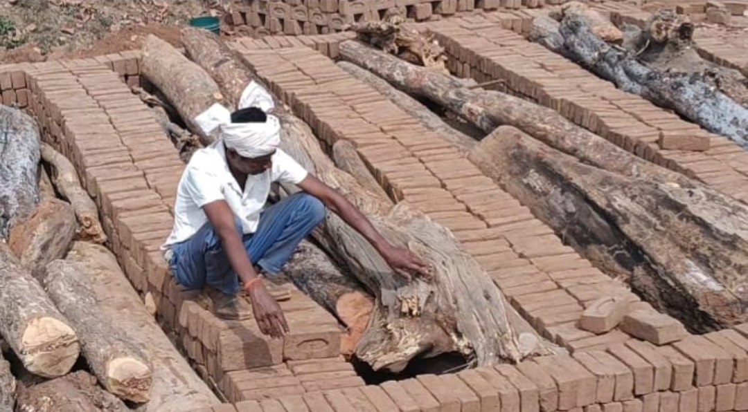 वन विभाग की मेहरबानी से अवैध ईंट भट्ठे का कारोबार पर फूल रहा 