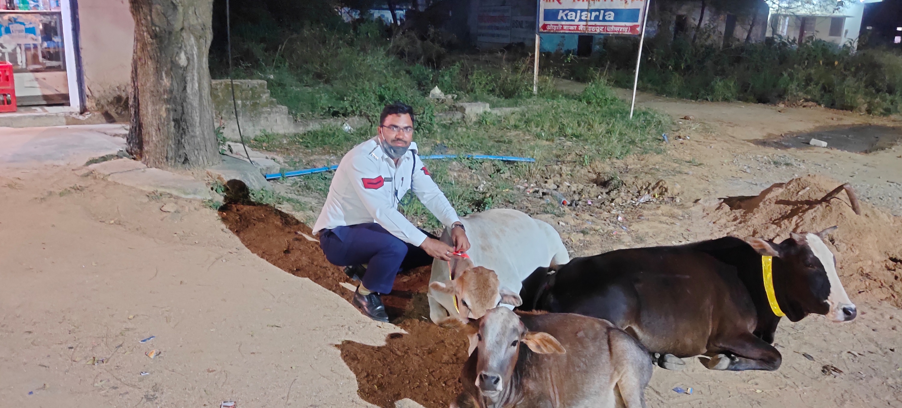पुलिस अधीक्षक संतोष सिंह की पहल पर मिलेगी आवारा पशुओं से हो रही दुर्घटना से निजात...