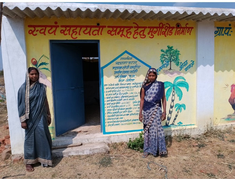 गौठान में व्यावसायिक तौर पर मुर्गी पालन करके समूह की महिलाओं को मिला स्वरोजगार