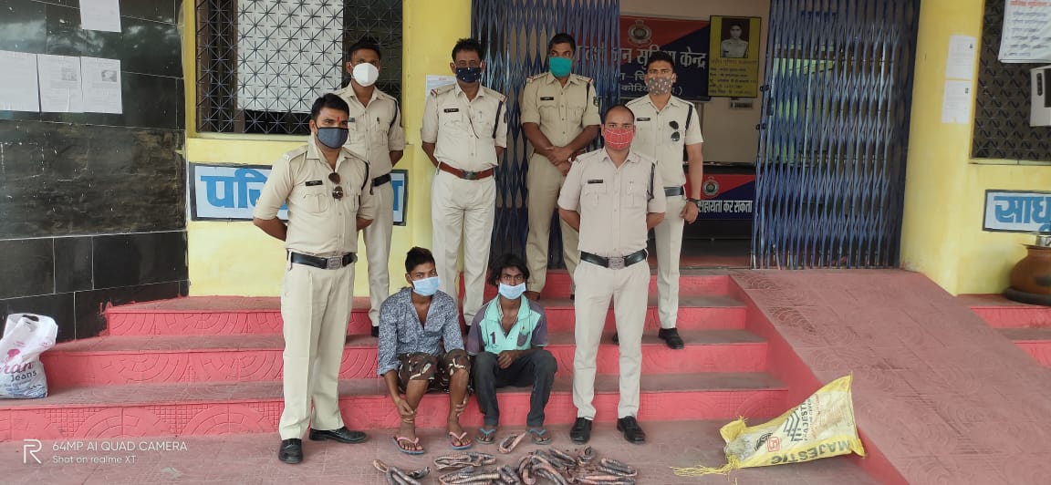 बीएसएनएल टावर के  120 मी. केबल चोरी करने वाले अपराधियों को चिरमिरी पुलिस ने भेजा जेल