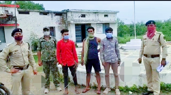 मूल्यवान वृक्ष.सागौन को काटकर चोरी करने वाले आरोपी पुलिस के शिकंजे में