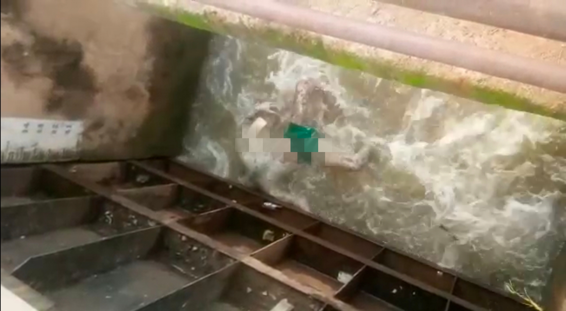 पामगढ़ के नहर में मिला अज्ञात युवक का शव,,क्षेत्र में मचा हड़कंप,,अज्ञात शव की नहीं हो पाई शिनाख्त,,पतासाजी में जुटी पामगढ़ पुलिस