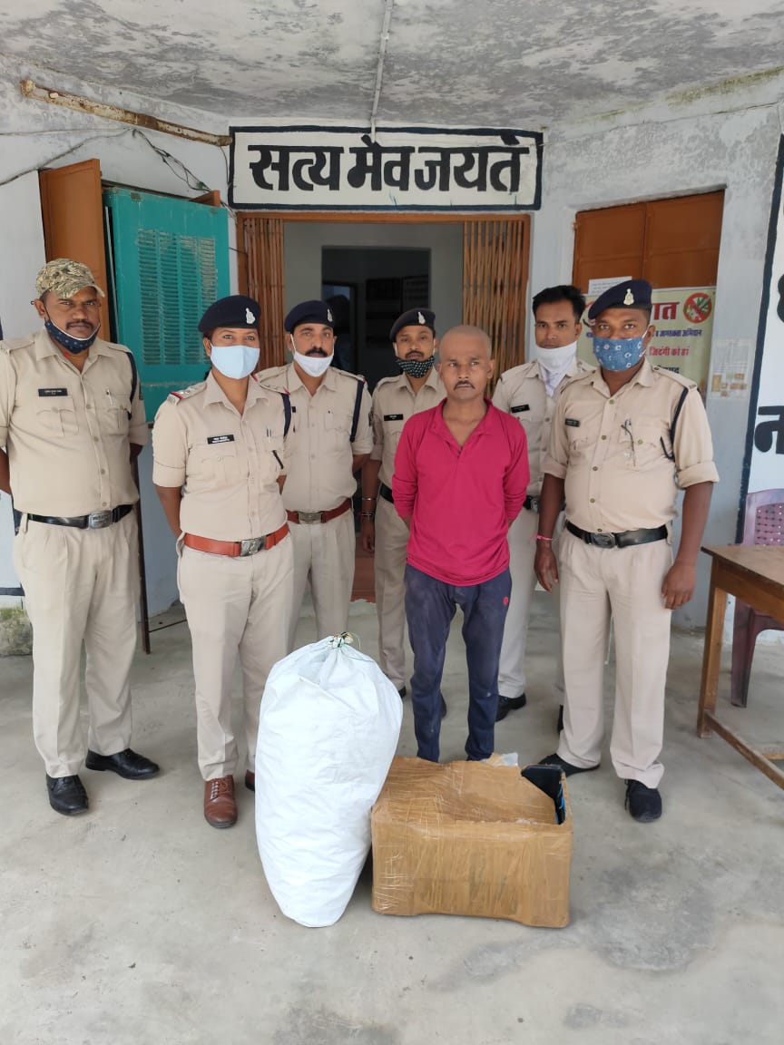 12 किलो 600 ग्राम गाँजा के साथ आरोपी गिरफ्तार, थाना पोड़ी और चिरमिरी की संयुक्त कार्यवाही