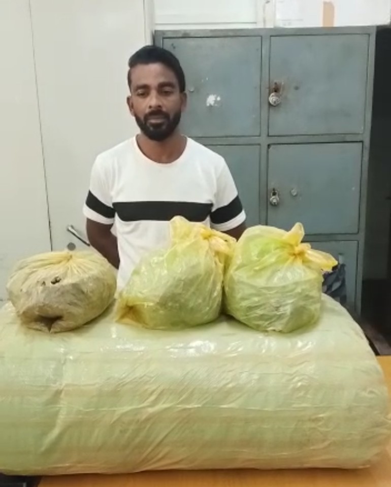 थाना डी.डी.नगर का कुख्यात  गुण्डा  योगेंद्र सिंह ठाकुर उर्फ योगी गिरफ्तार, आरोपी के कब्जे से लगभग 35 किलोग्राम गांजा जप्त किया गया