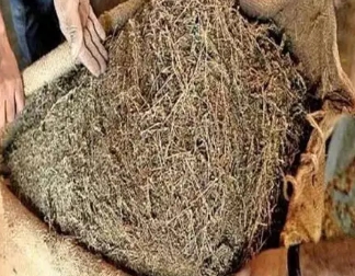 छत्तीसगढ़ : सब्जी की गाड़ी में लोड हुआ पत्ता गोभी के साथ करोड़ों का गंजा...पुलिस को भनक तक नहीं&hellip;.