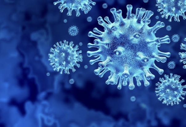 छत्तीसगढ़ में आज 10 कोरोना संक्रमितों की मौत, 2373 नए मरीजों की भी पुष्टि