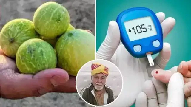 दवा की झंझट ही खत्म, 40 दिनों में शुगर खत्म करेगा राजस्थानी वैद्य का देसी नुस्खा, नाभि पर रखें आयुर्वेदिक पाउडर ।