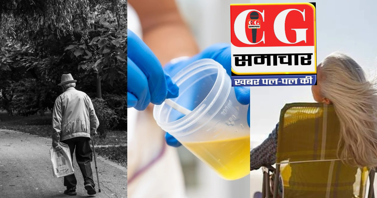 70` की उम्र 0 बीमारी! ये 2 बॉलीवुड स्टार्स फिट रहने के लिए रोज़ पीते हैं अपना यूरिन राज जानकर उड़ जाएंगे होश