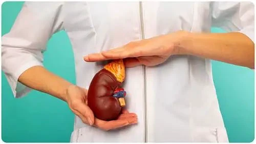 किडनी फेल होने का साइलेंट अलर्ट: पैरों में दर्द के साथ दिखते हैं ये 5 खतरनाक लक्षण, तुरंत संभल जाएं!