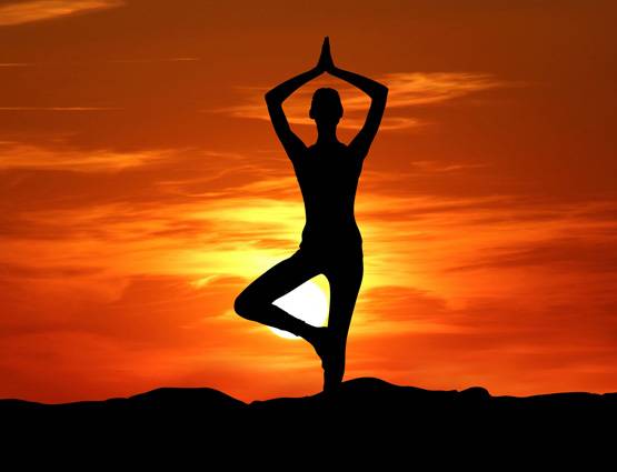  बीमारी में योग करना सही या गलती? जानिए डॉक्टरों और आयुर्वेद से जुड़े हैरान करने वाले फायदे