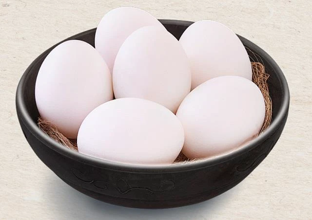 कैंसर मरीजों के लिए वरदान हैं ये खास अंडे... पति-पत्नी का अनोखा प्रयोग, अब लाखों लोगों तक पहुंचा रहे हैं हेल्दी डाइट