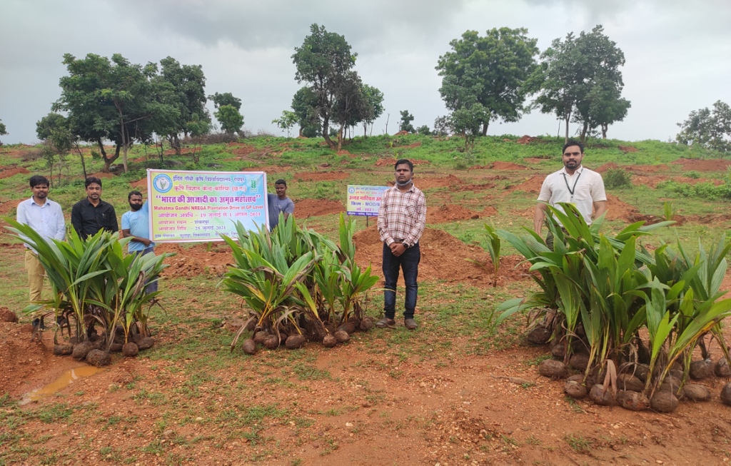 वृहद वृक्षारोपण अभियान में जनप्रतिनिधियों और नागरिकों ने लिया हिस्सा पौधरोपण हेतु इच्छुक व्यक्ति नजदीकी नर्सरी से ले सकते हैं पौधे निशुल्क