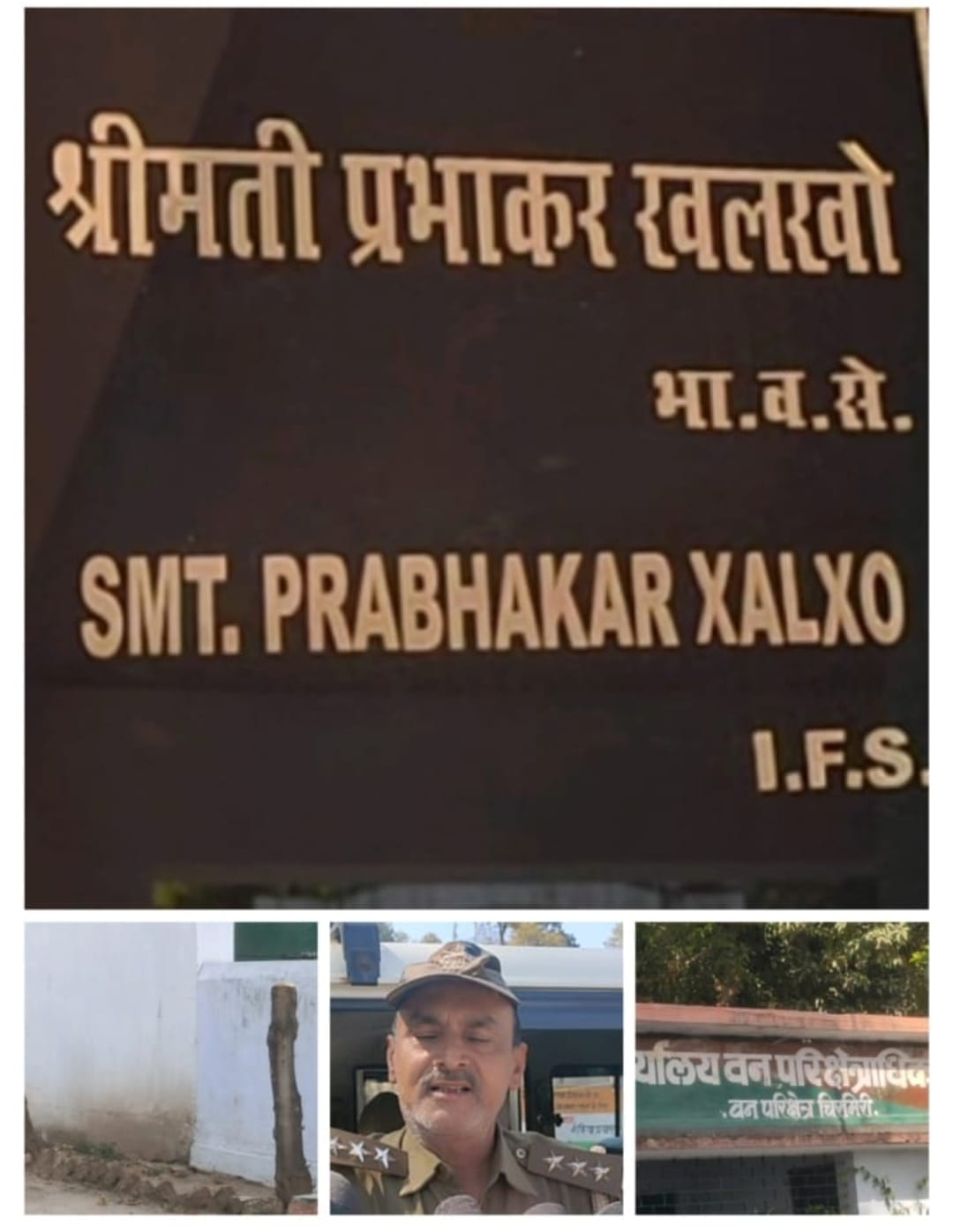 चिरमिरी वन परिक्षेत्र परिसर में&nbsp; कटे आयुर्वेदिक वृक्ष करंज के सवाल पर भड़के डीएफओ कोरिया कहां रेंजर पैसा नहीं दिए 