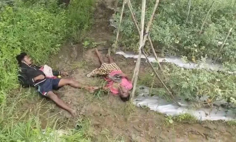 टमाटर चोरी करने खेत में घुसे पिता-पुत्र की करंट की चपेट में आने से दर्दनाक मौत
