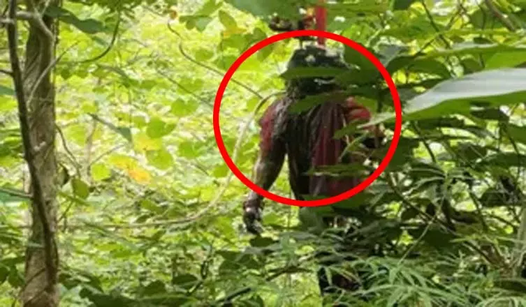 जंगल में लटके दो जिस्म... कैमरे में कैद हुआ खौफनाक राज!