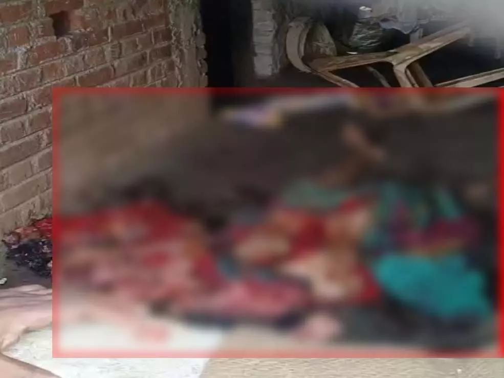 मां को कुल्हाड़ी से काटा... फिर बैठकर गाना गाने लगा बेटा &ndash; खौफ में पूरा गांव!