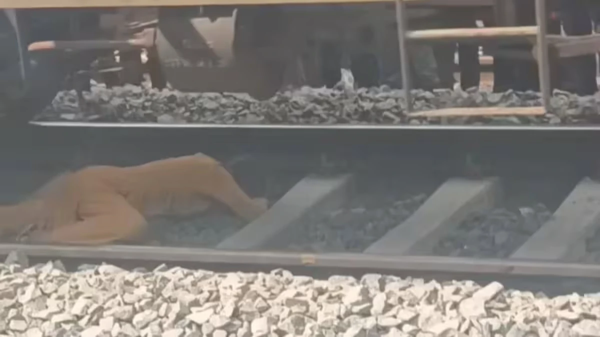 OMG! बेगूसराय में महिला और बच्चे के ऊपर से गुजरा गई मालगाड़ी, यहां देखिये दिल की धड़कने थाम देने वाला VIDEO