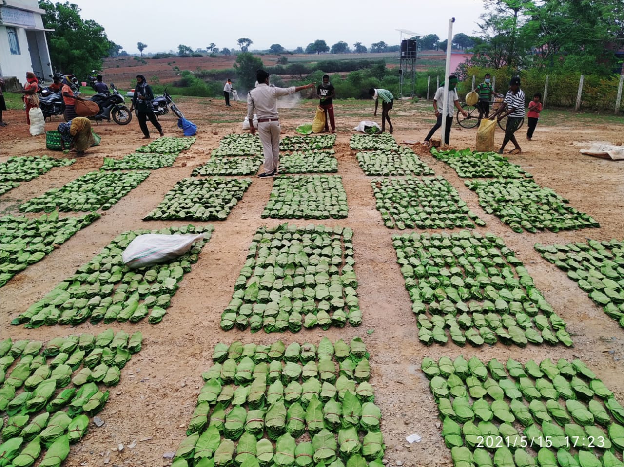 राज्य शासन द्वारा शहीद महेन्द्र कर्मा तेंदूपत्ता सामाजिक सुरक्षा योजना के लिए 12 करोड़ रूपए से अधिक की राशि जारी