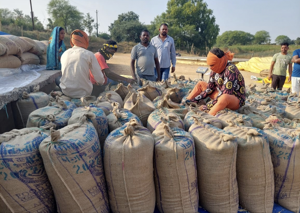 जिले में धान खरीदी में आई तेजी, दूसरे सप्ताह में धान बेचने किसानों की संख्या बढ़ी, गुरुवार को 987 क्विंटल धान बेचने 30 किसानों ने कटाए टोकन