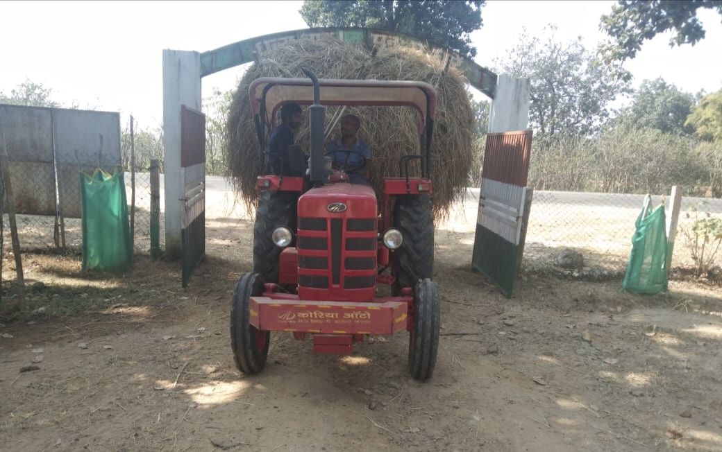 पैरादान बना महाभियान र्यावरण संरक्षण तथा पशुसेवा की ओर राज्य सरकार की अभिनव पहल पर कृषक बड़ी संख्या में पैरादान हेतु पहुंच रहे गौठान